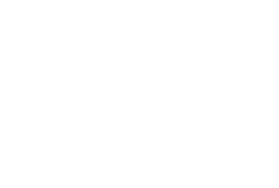 Nubiseg
